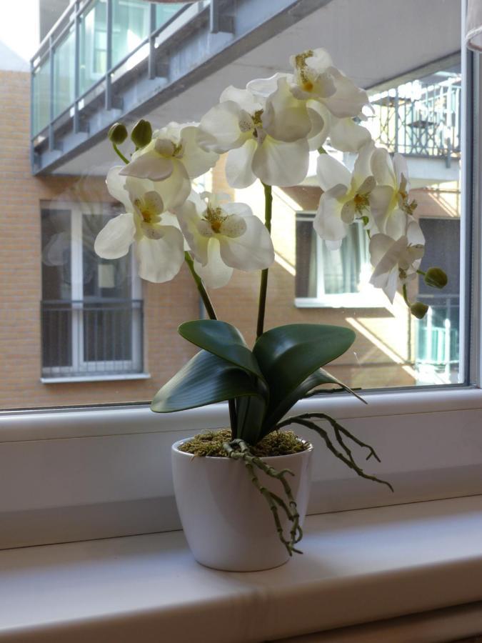 Apartment Avanti Budapest Luaran gambar